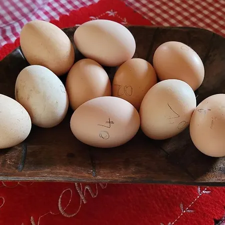 Fattoria Calcarola Affi