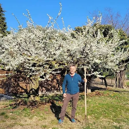 Fattoria Calcarola * Affi
