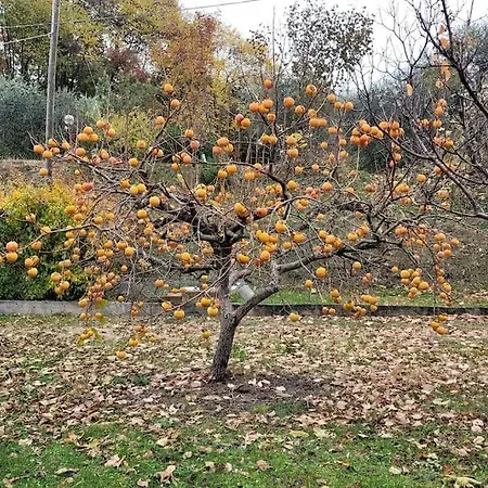 Fattoria Calcarola Lägenhet Affi