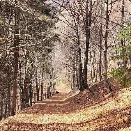 Fattoria Calcarola Affi